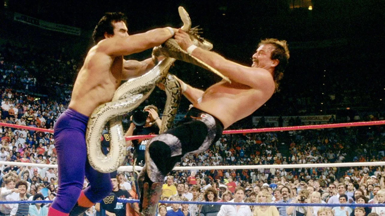 Who Is Jake The Snake The Ultimate Wrestling Legend